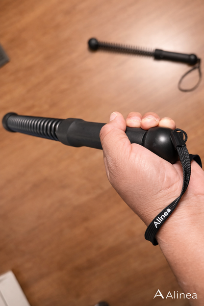 Alinea Training Ropes